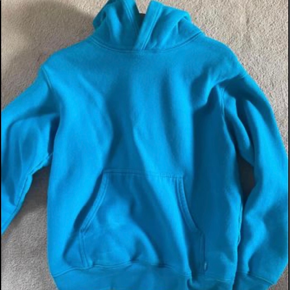 Aritzia Perfect Hoodie - Picture 1 of 1